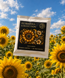 Drip coffee Petrykivka collection BUCO Coffee